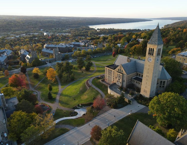 Aerial view of trees and buildings in Ithaca, New York
